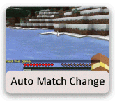 auto-match-change1.gif